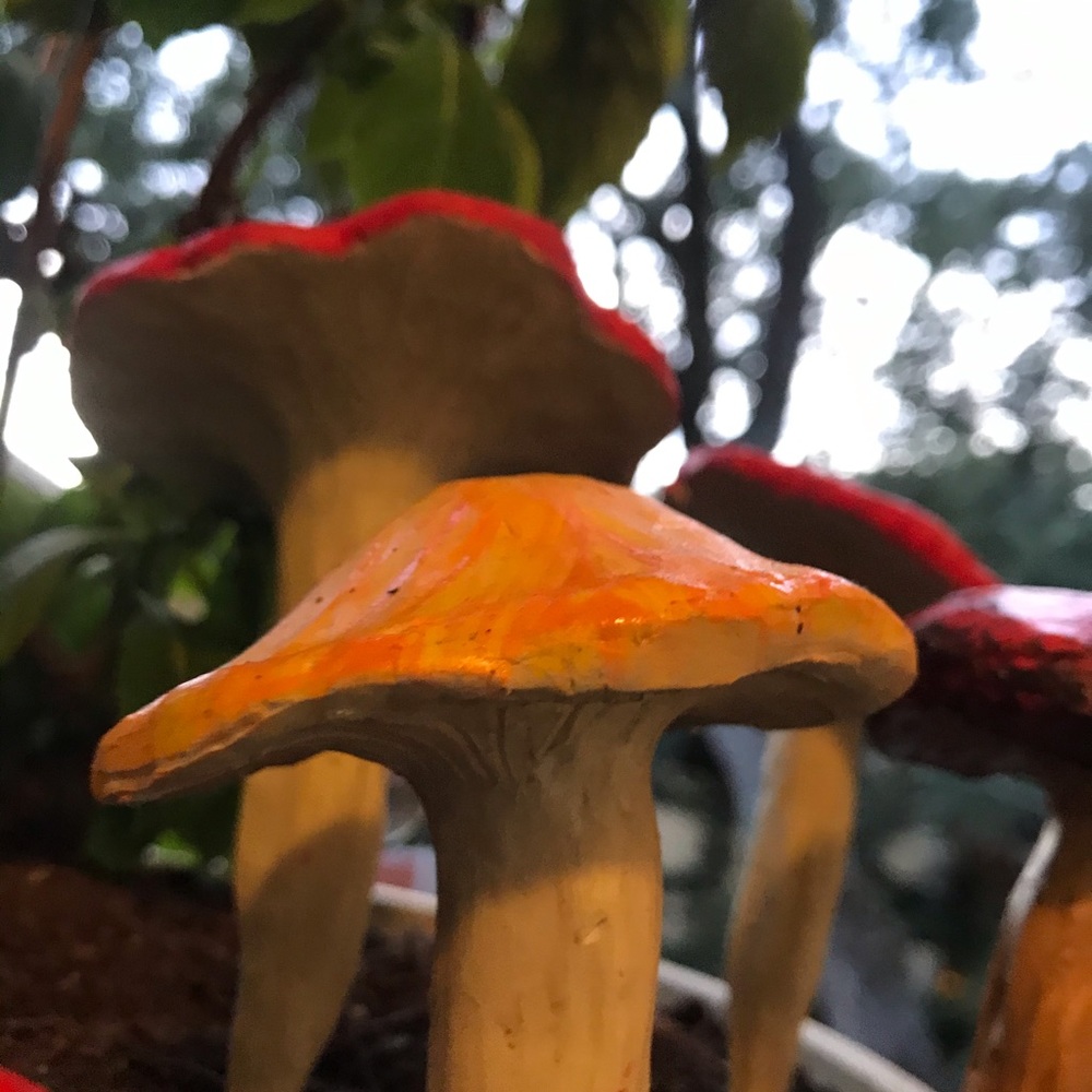 [1] HANDMADE MUSHROOM GARDEN STAKE! 🍄 Bundle & chat - Picture 9 of 14